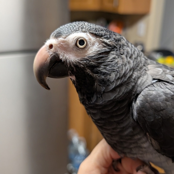 SALE PLEASE READ - Picture 10 of 14